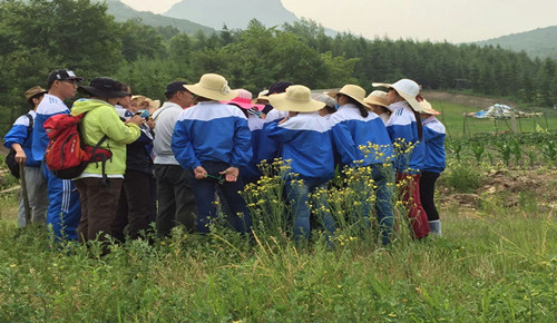 2015年药用植物学野外实习顺利结束