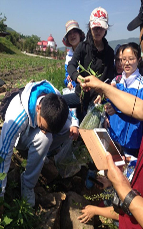 2015年药用植物学野外实习顺利结束