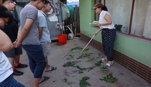 2015年药用植物学野外实习顺利结束